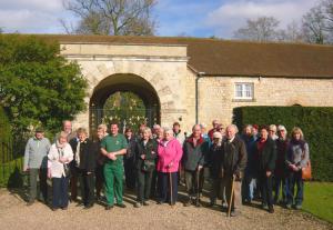 Daffodil Walk at Hartwell House Article Graphic