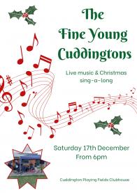 The Fine Young Cuddingtons Article Graphic