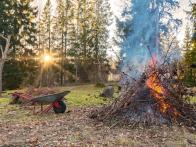 Bonfires Article Graphic