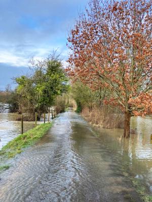 Flooding on Footpath 14 Article Graphic