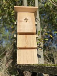 Bat Boxes Article Graphic