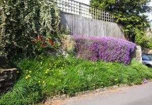 Church and Village Flowers – Enjoy Now! Article Graphic